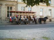 Kliknij aby powikszy