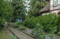 Kliknij aby powikszy