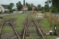 Kliknij aby powikszy