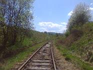 Kliknij aby powikszy